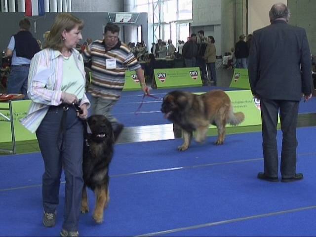 Salzburg Clubschau Mai 06 240 